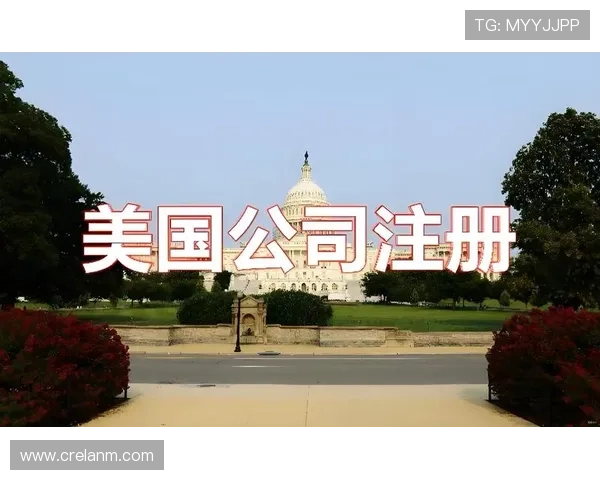 全面了解娱乐官网K8平台的注册流程与账号安全策略指南